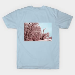 Southern Illinois Winter Scene 8_ Dec 2012 T-Shirt